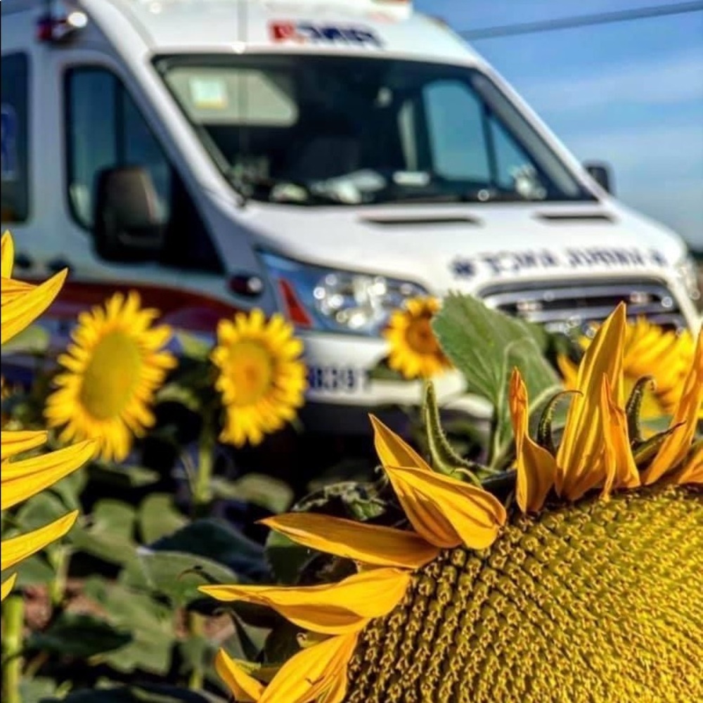 Meet your Posher, Joss